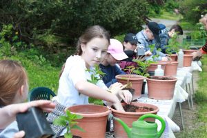 Deti pri práci s kvetináčmi a hlinou