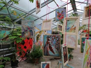 Obrazy vystavené v skleníku
