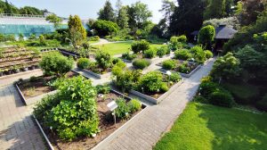 Menšie ostrovčeky rastlín v záhrade