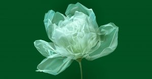 Kvet z plastových sáčkov