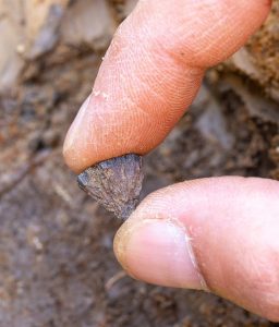 Úlomok kameňa drží muž medzi palcom a ukazovákom