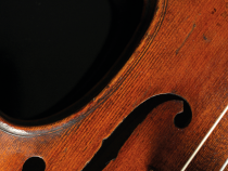 Veda umenia, umenie vedy