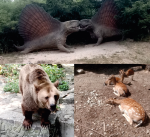 Koláž fotografií: medveď, daniel a dinosaury