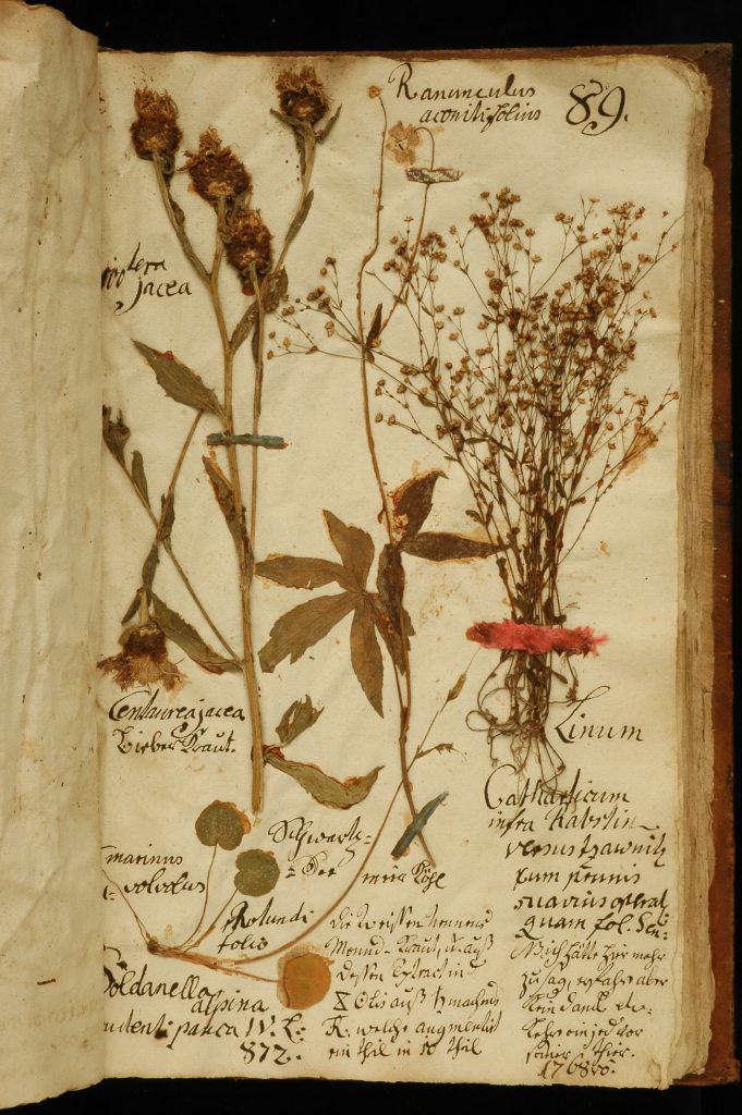 Historický herbár s rastlinami