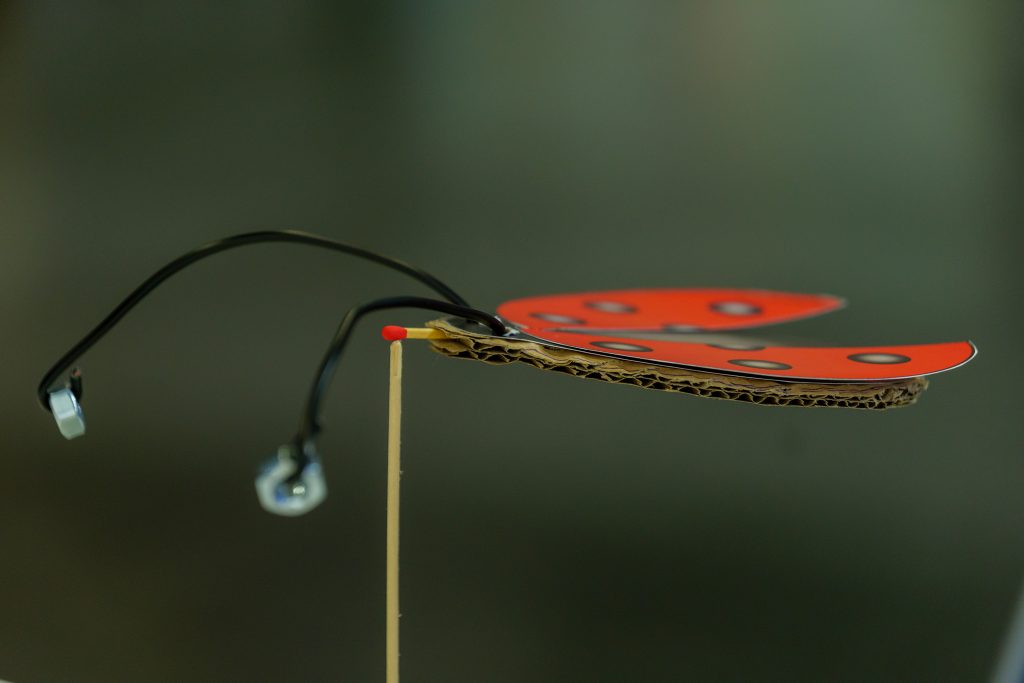 Vyvážená kartónová lienka