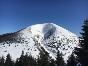 Zasnežená hora s ihličnatými stromami