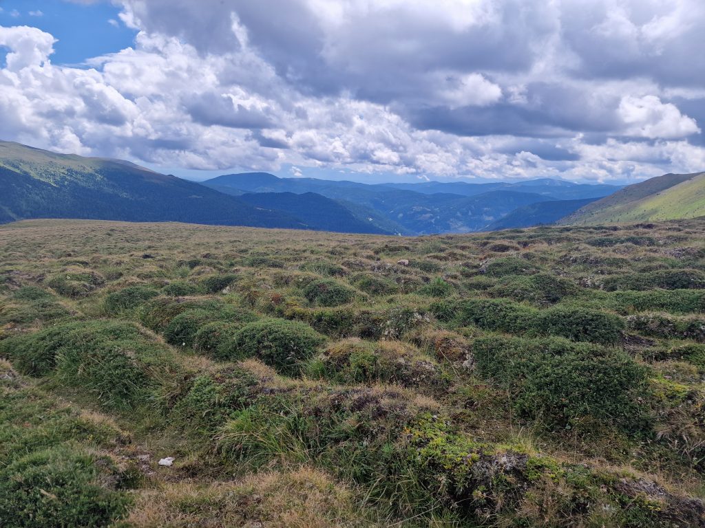 Malé kopčeky na trávnatej ploche v horách