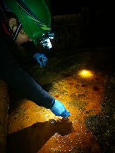 Muž v ochranných rukaviciach odoberá vzorky pre výskum