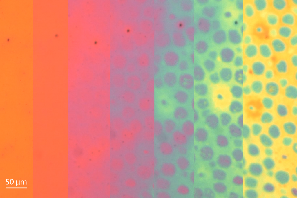 Časozber vývoja farieb a vzorov na koži