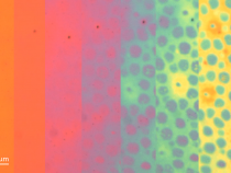 Chobotničia koža z laboratória