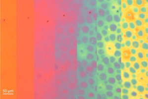 Časozber vývoja farieb a vzorov na koži