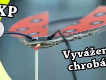 Vyvážený chrobák