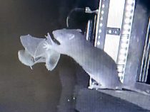 Ani lietanie nepomôže