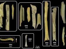 Smutný súmrak neandertálcov
