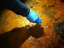 Od zbierok k banským záťažiam: Mineralógia v Prírodovednom múzeu SNM