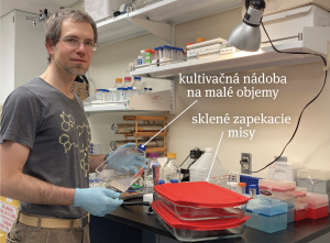 Vedec pri svojej práci v laboratóriu