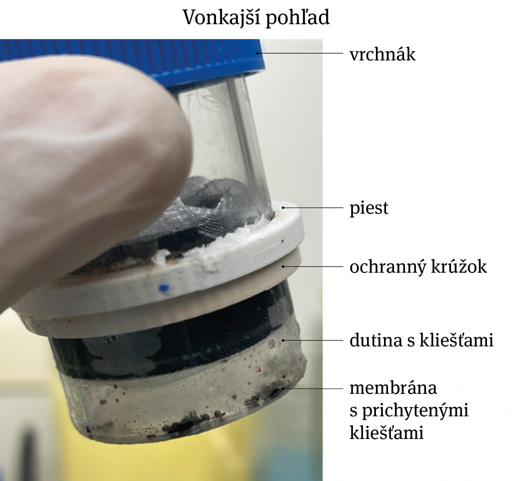 Zariadenie využívané pri umelom kŕmení kliešťov