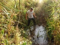 Mäkkýše v službách vedy: Malakológia v Prírodovednom múzeu SNM