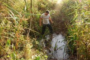 Prírodovedec pri práci v teréne stojí v mokradi obklopenej vegetáciou