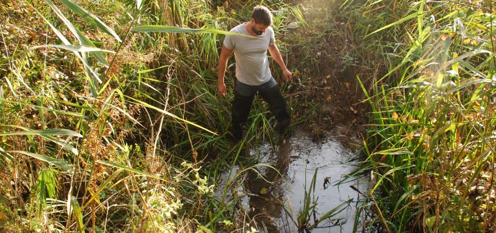 Mäkkýše v službách vedy: Malakológia v Prírodovednom múzeu SNM