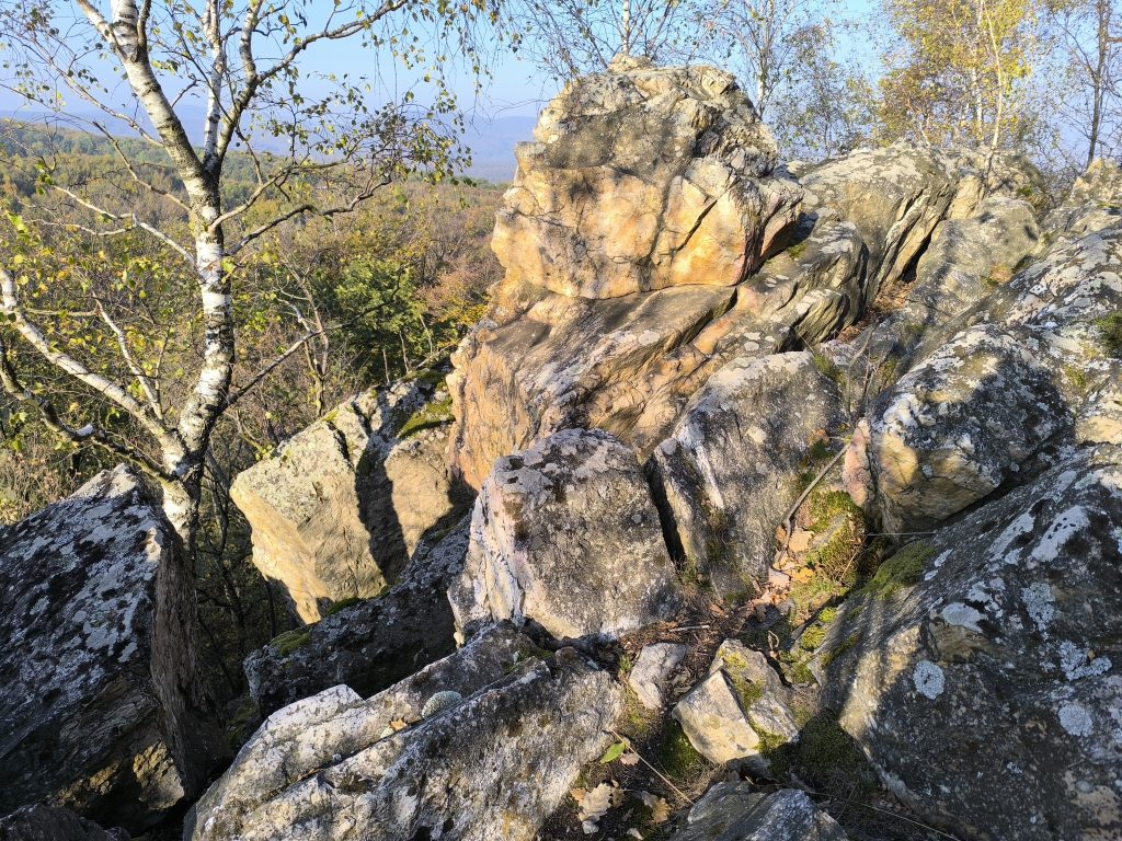 Slnko sa opiera do skál, medzi ktorými si svoju cestu prediera strom a iná vegetácia