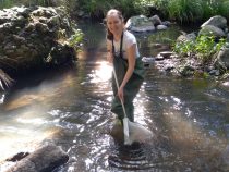 Cesta mikroplastov v oceáne