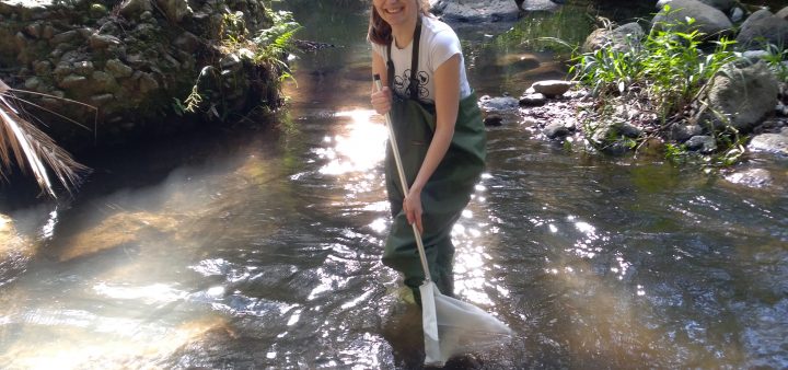 Cesta mikroplastov v oceáne