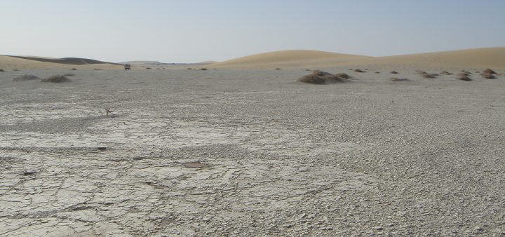 A predsa bol dvojnožec!