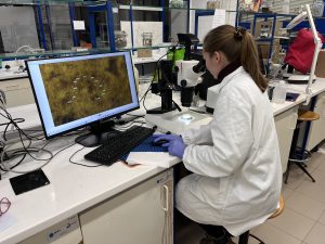 Laboratórna práca vedkyne s použitím techniky