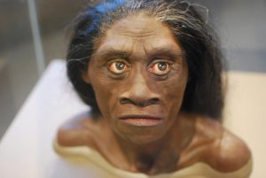 Rekonštrukcia Homo floresiensis