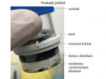 Kliešte v priamom prenose