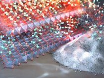 Proti večným chemikáliám