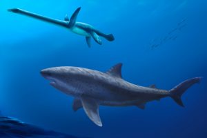 Rekonštrukcia gigantického žraloka plávajúceho vedľa prehistorického tvora
