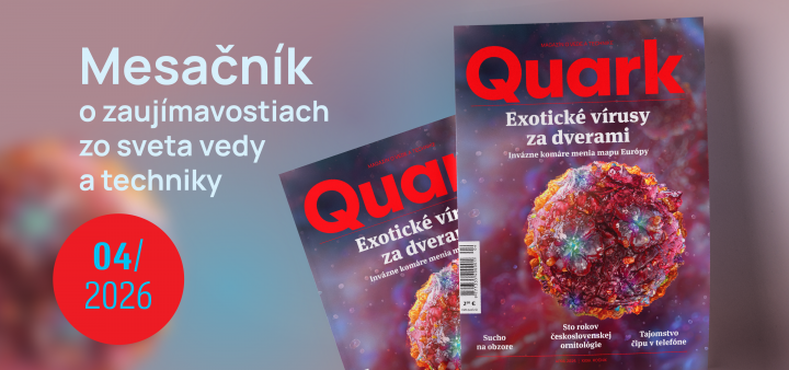 Test pozornosti 4/2026