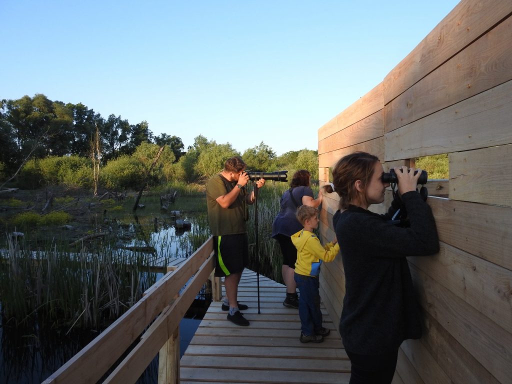 Pozorovanie vtáctva