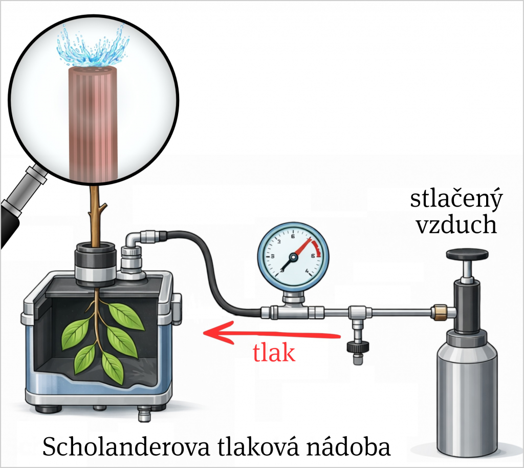 Scholanderova tlaková nádoba a jej použitie na ilustrácii