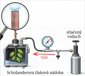 Scholanderova tlaková nádoba a jej použitie na ilustrácii