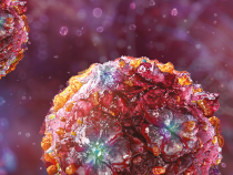 Exotické vírusy za dverami: Invázne komáre menia mapu Európy