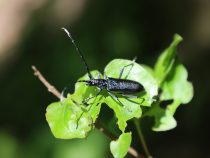 Biodiverzita stojí za pohľad