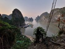 Mogoty: Krasové formy georeliéfu