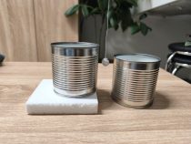 Elektrostatické kyvadlo