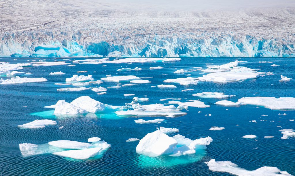 Kusy ľadovca plávajúce na vodnej hladine