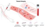 Tekutá biopsia v diagnostike