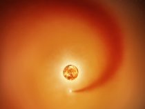 Zahalený sprievodca Betelgeuze
