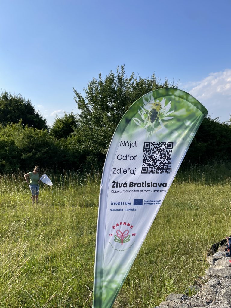 Reklamná vlajka podujatia Živá Bratislava v tvare mušieho krídla