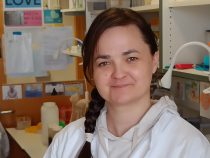 Evolúcia enzýmov: Cesta k vzácnym cukrom aj novým liečivám
