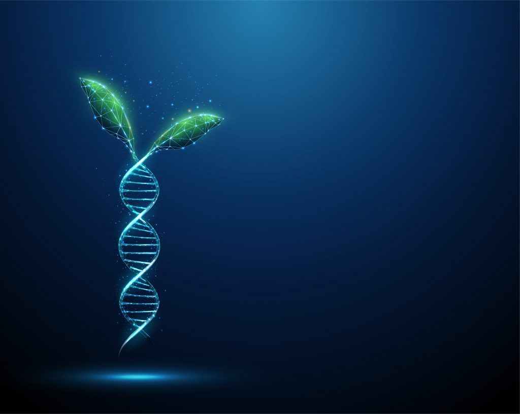 Grafické znázornenie zelených listov rastúcich z modrej molekuly DNA