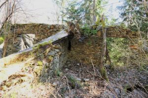 Kamenné ruiny niekdajšej stavby pokryté vegetáciou