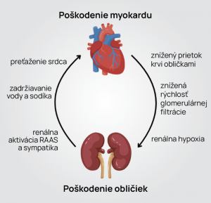 Ilustrácia patologickej interakcie srdca a obličiek