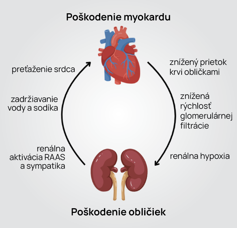 Ilustrácia patologickej interakcie srdca a obličiek